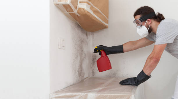 Professional Crawl Space Mold Removal technician working in Clermont, KY