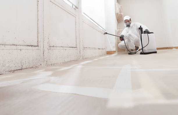 24/7 Emergency Crawl Space Mold Removal experts in Clermont, KY